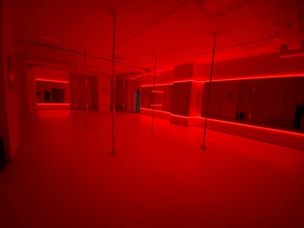 Крупный фитнес-центр в Гомеле